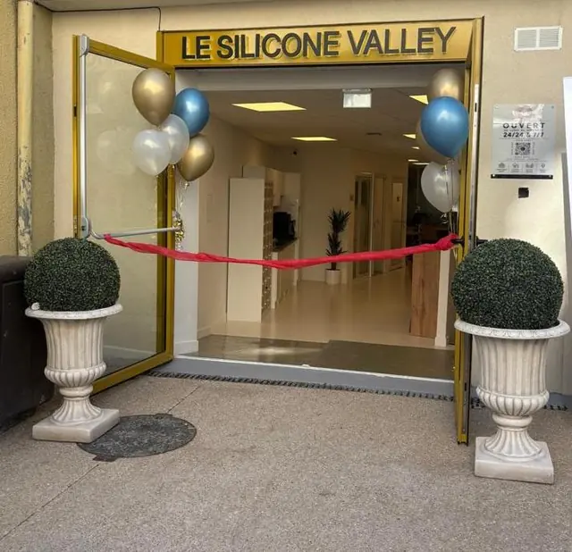 Entrée du Silicone Valley à Gex